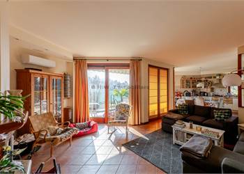einfamilienhaus mit garten 